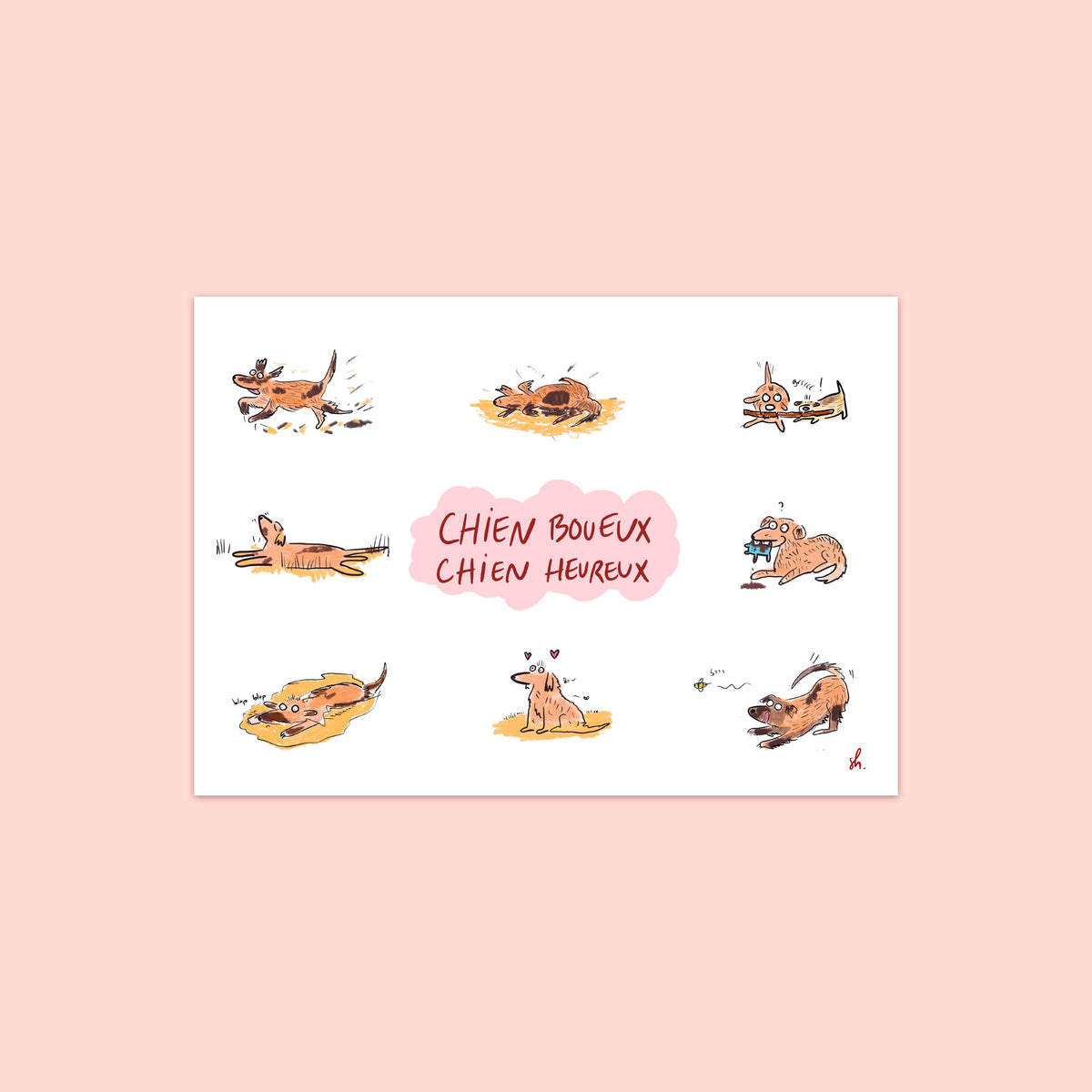 8 illustrations représentant un chien qui court, qui se roule, qui s'applatie, qui se baigne, qui mordille un jouet, qui court après une abeille, qui est heureux: dans la boue. un titre écrit à la main sur une forme de nuage: chien boueux chien heureux