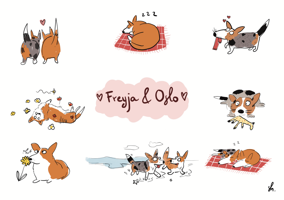 BD personnalisée de votre animal en 6 à 8 cases