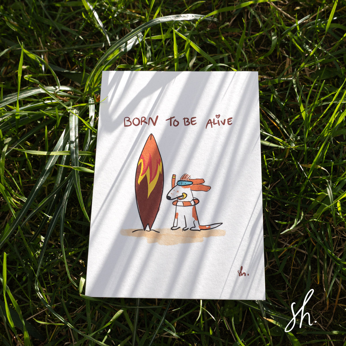 carte postale posé dans l'herbe au soleil avec l'ombre de l'herbe qui se relète dessus, un cocke qui porte un masque et une bouée pose près d'une planche de surf les oreilles au vent avec écrit au dessus "born to ve alive".