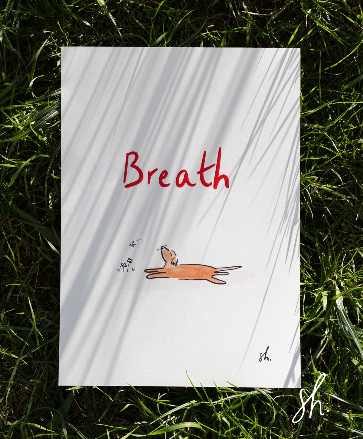 carte postale photographié dans l'herbe avec l'ombre porté du soleil dessus , sur le dessin est écrit "breath" avec un golden qui snif le ciel en splootant avec une petite abeille qui lui passe dessus