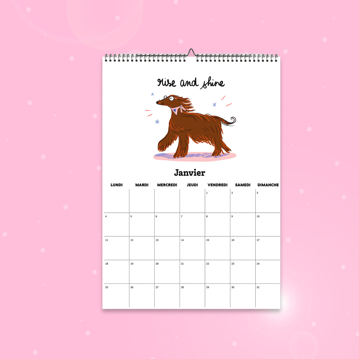 Calendrier 2027 illustré 100% chiens