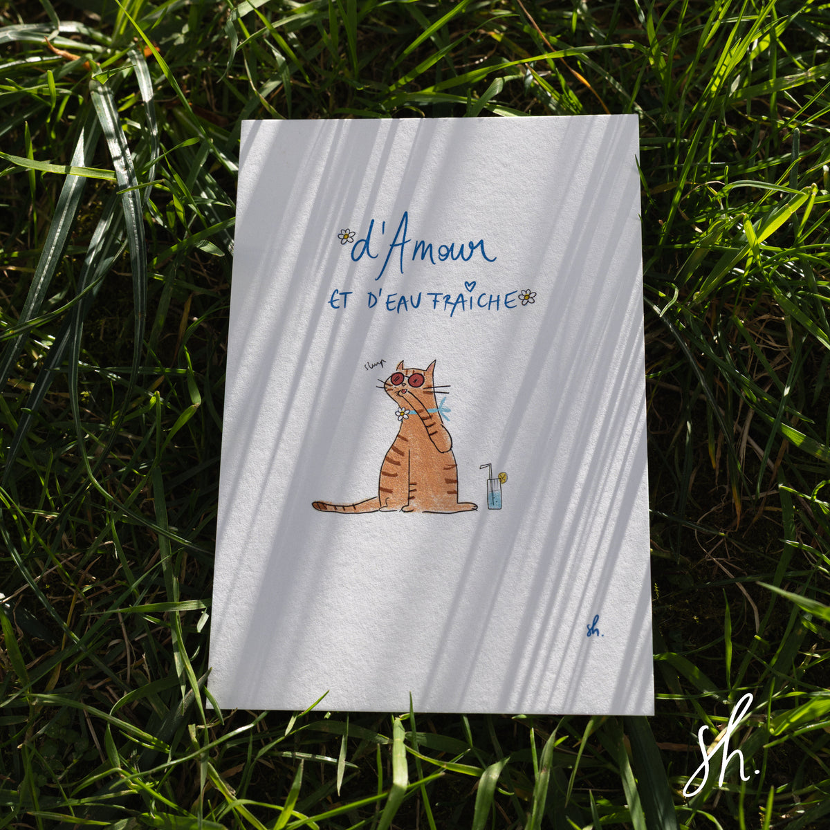 carte postale posée dans l'herbe sous un joli soleil qui reflète l'ombre de l'herbe dessus, un chat fait sa toilette devant son cocktail et il est écrit d'amour est d'eau fraîche
