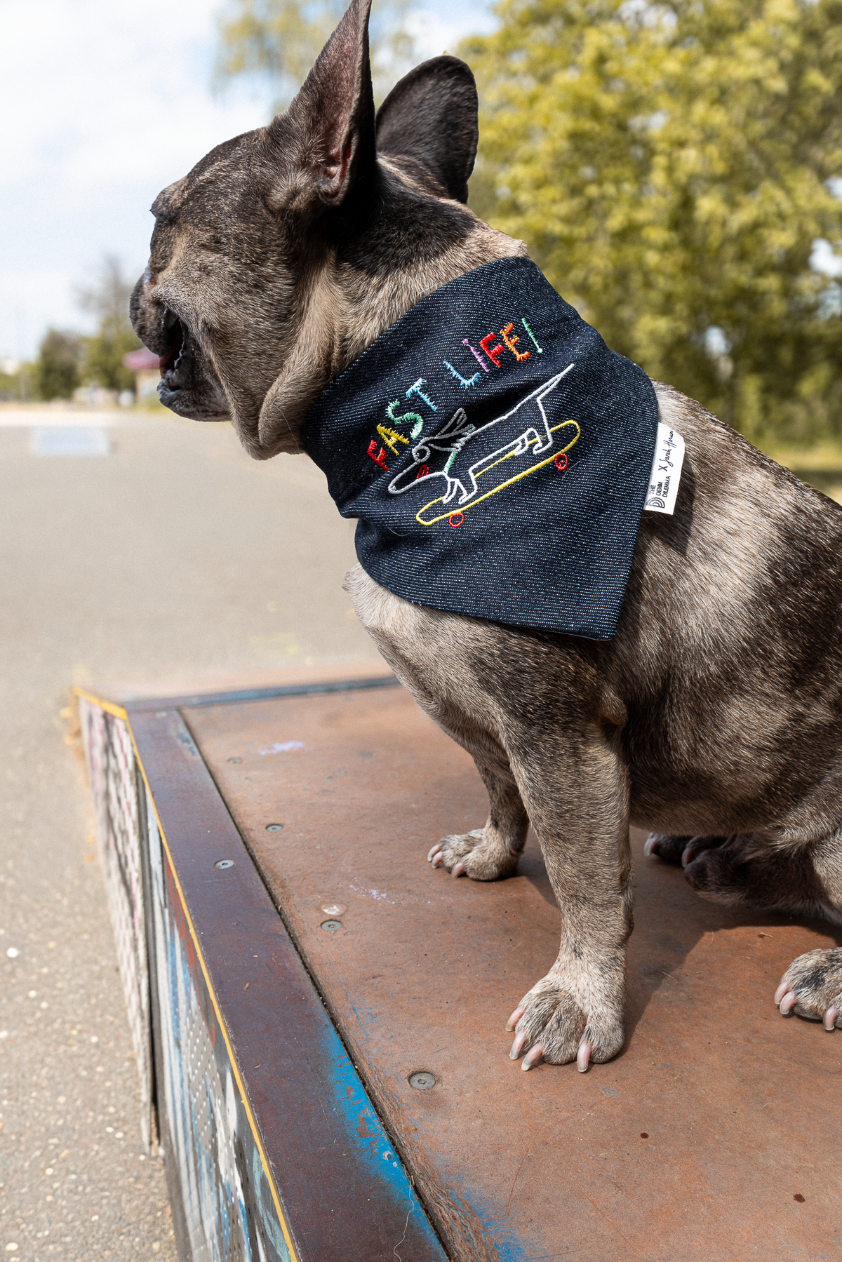 bouledogue portant un bandana en jean recyclé avec un teckel brodé dessus et écrit "fast life", la photo a été prise dans un skate parc