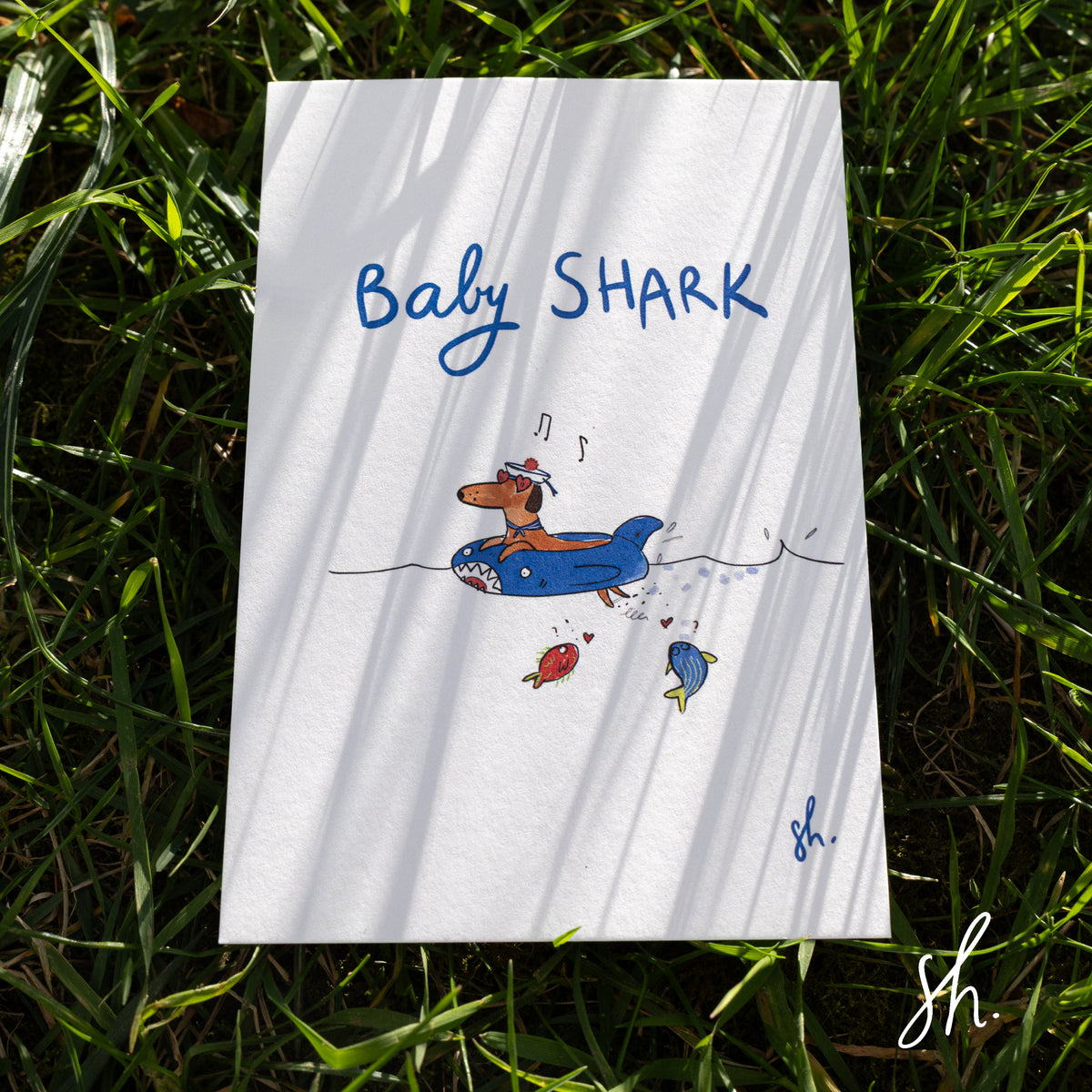 petite carte posale posé dans l'herbe sous un rayon de soleil, l'herbe dessine de jolies ombres sur la carte qui représente un teckel qui nage dans une bouée en chantant baby shark avec un petit bonnet de marin et des poissons en dessous