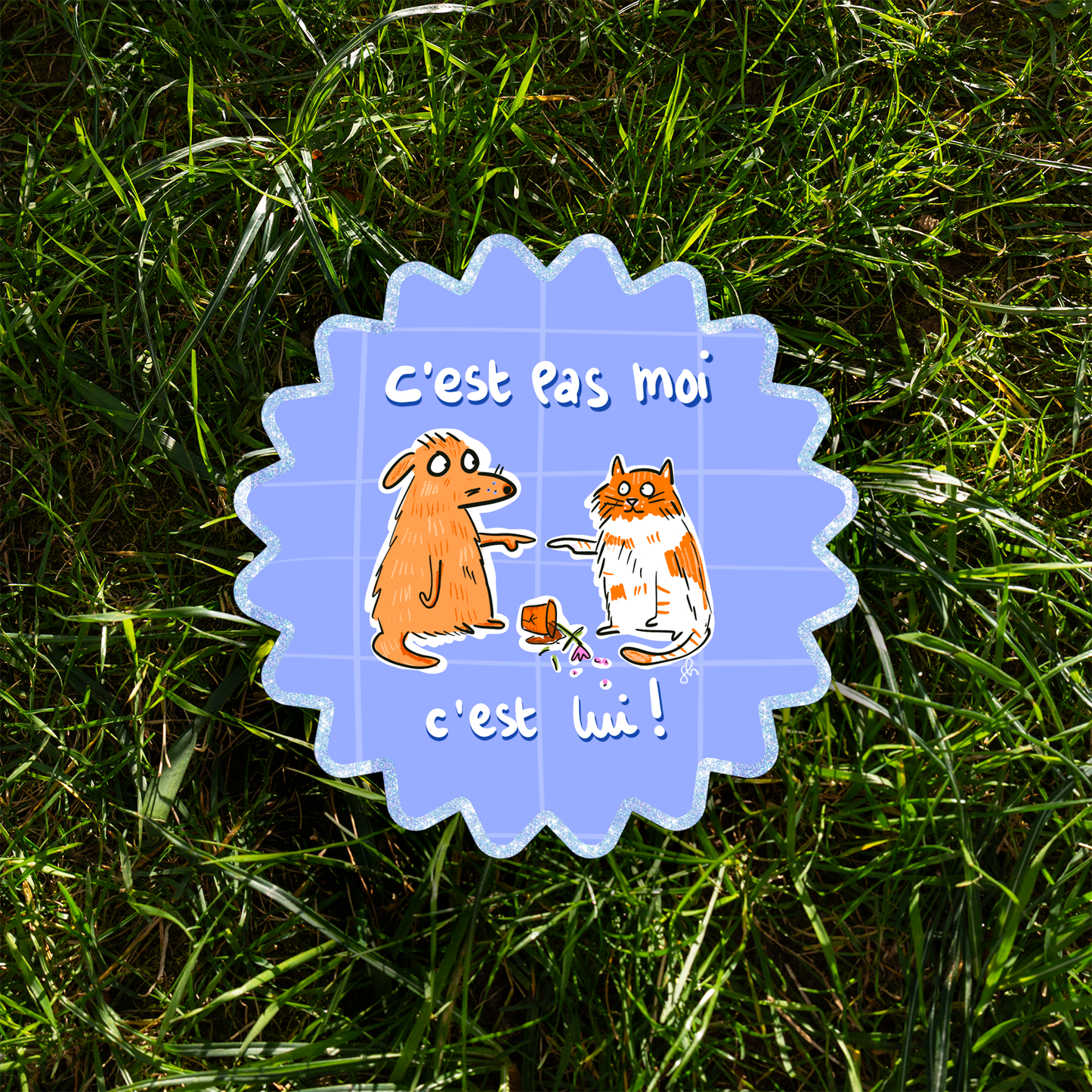 C'est pas moi, c'est lui !