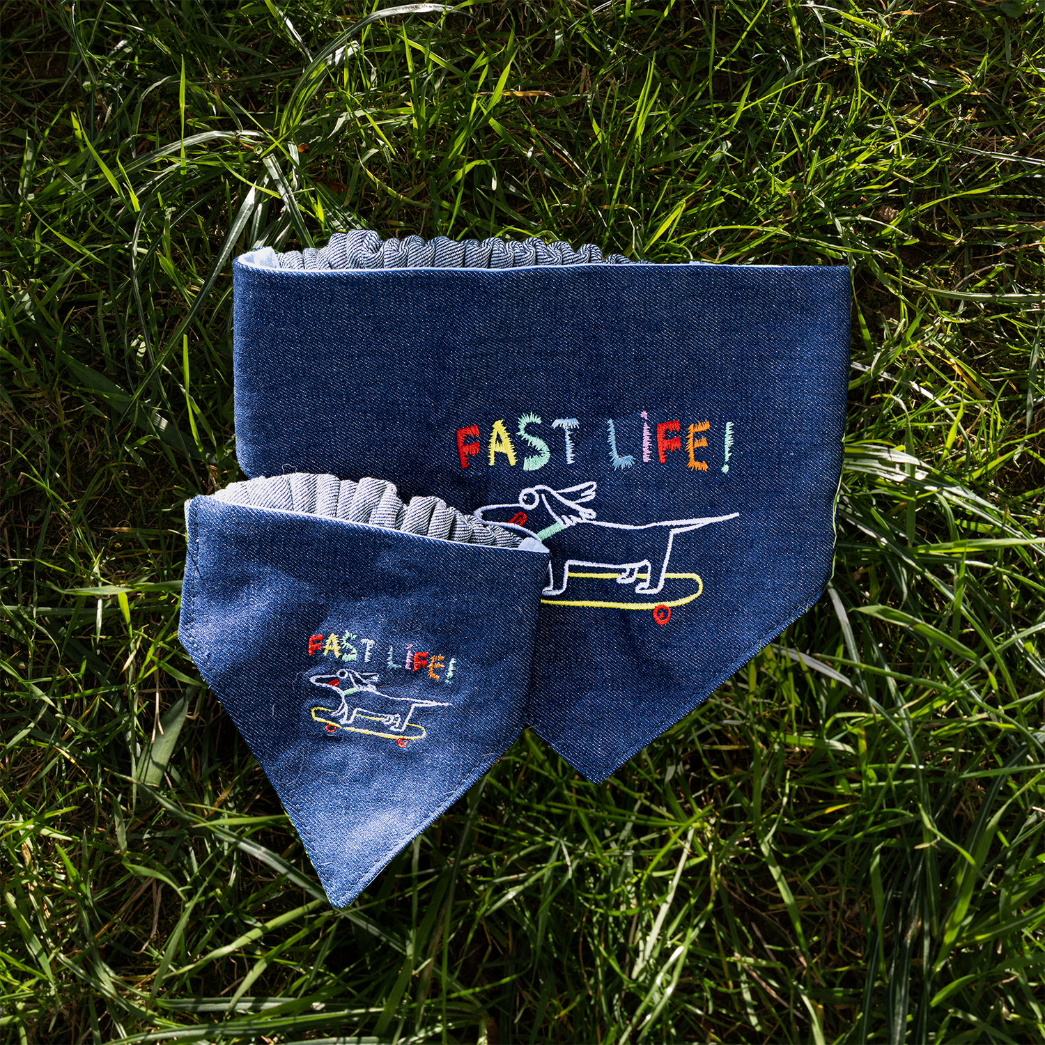 petit chien tenant une fleure à la bouche et qui porte un bandana 