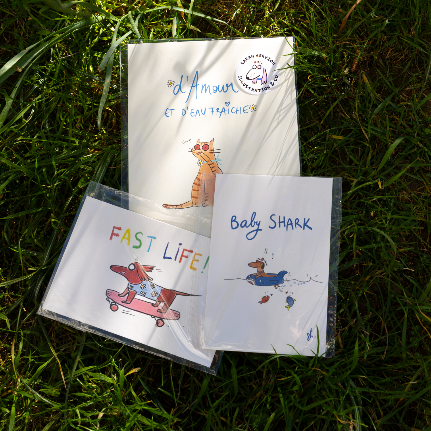 illustration dans un cadre en bois 