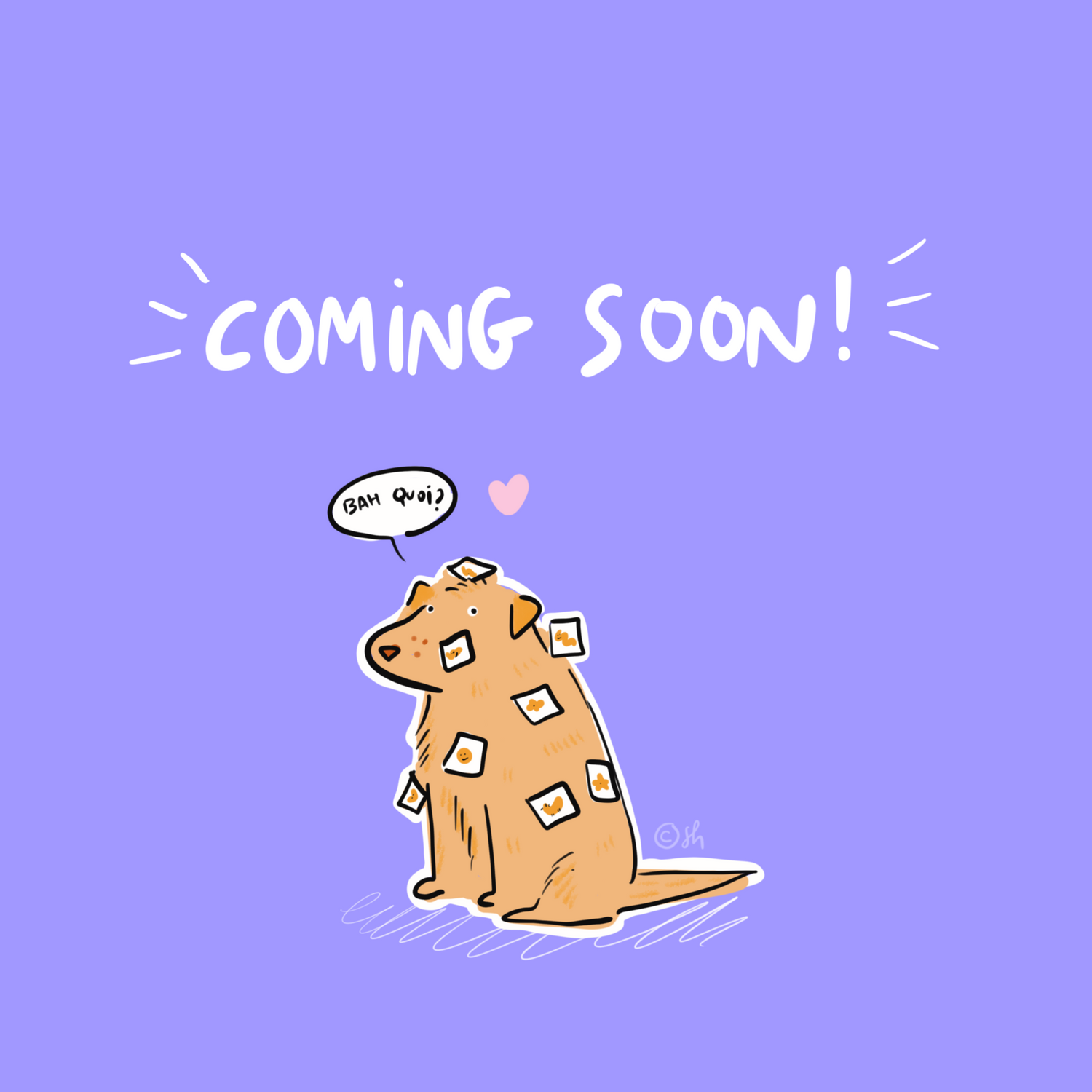 un golden est assis et a plein de stickers collés sur lui 