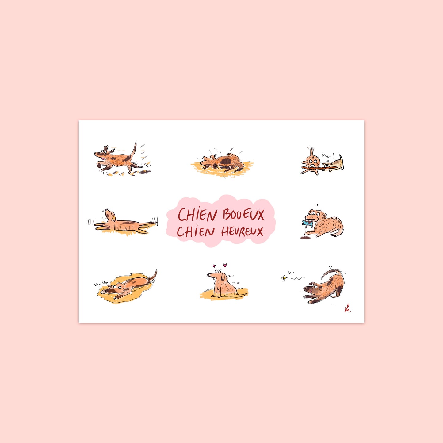 8 illustrations représentant un chien qui court, qui se roule, qui s'applatie, qui se baigne, qui mordille un jouet, qui court après une abeille, qui est heureux: dans la boue. un titre écrit à la main sur une forme de nuage: chien boueux chien heureux 