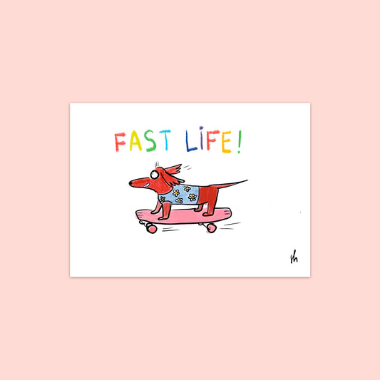 teckel faisant du skate et portant un crop top à motif paquerette avec écrit "fast life" à la craie multicolore 