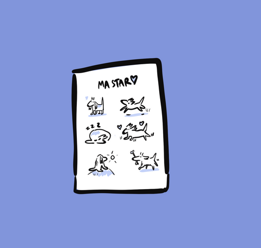 Bande dessinée 6 cases