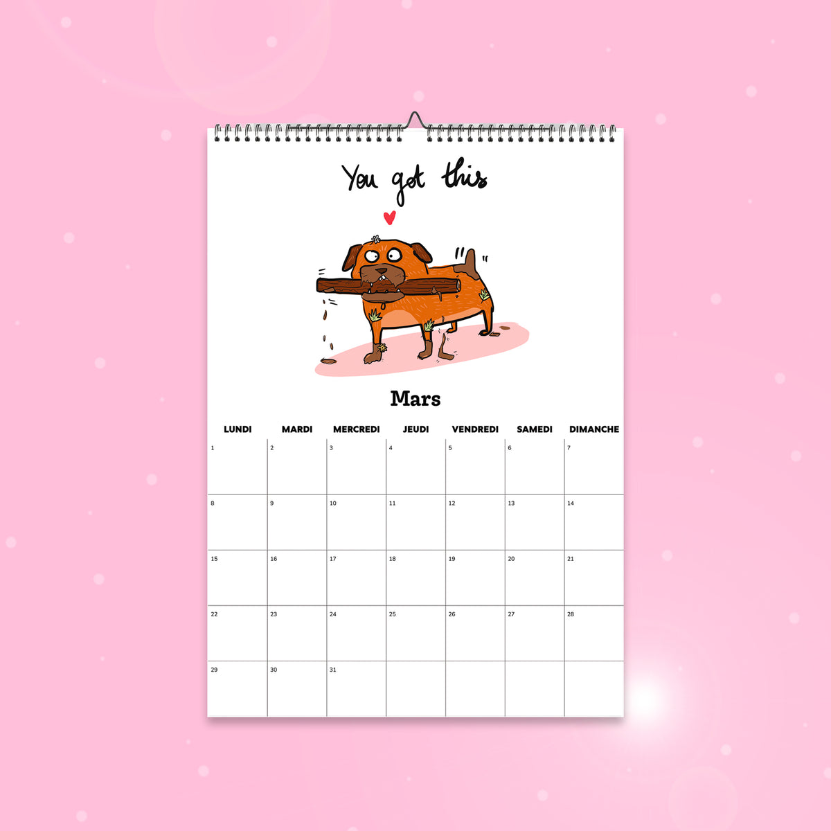 Calendrier 2027 illustré 100% chiens