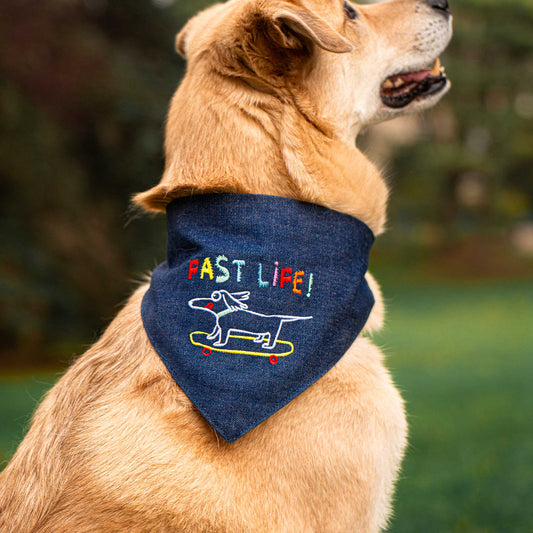 Bandana "fast life!"