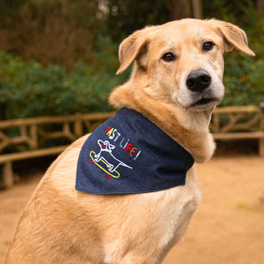 Bandana "fast life!"