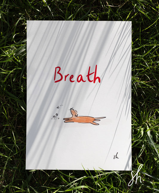 carte postale photographié dans l'herbe avec l'ombre porté du soleil dessus , sur le dessin est écrit "breath" avec un golden qui snif le ciel en splootant avec une petite abeille qui lui passe dessus 