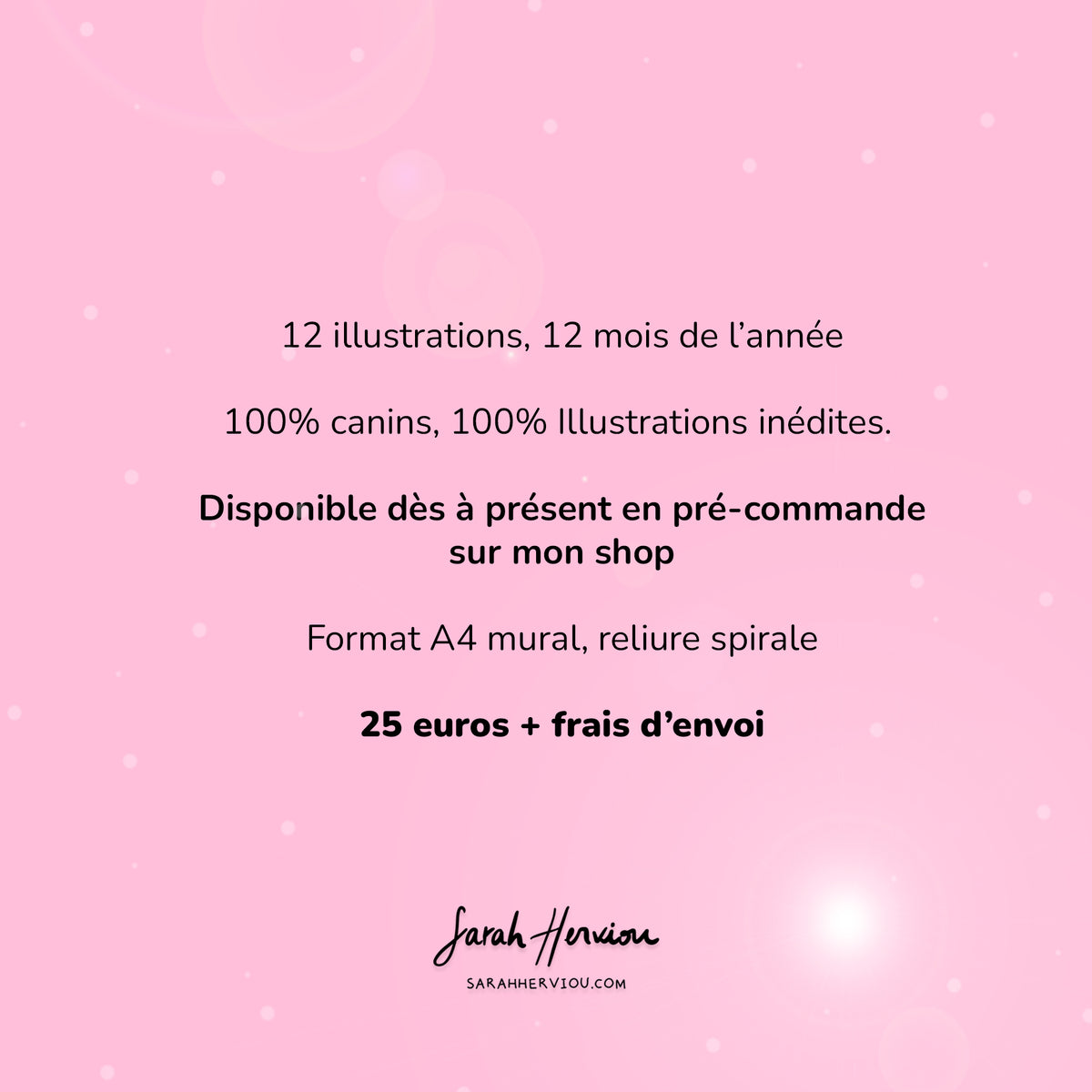 Calendrier 2027 illustré 100% chiens