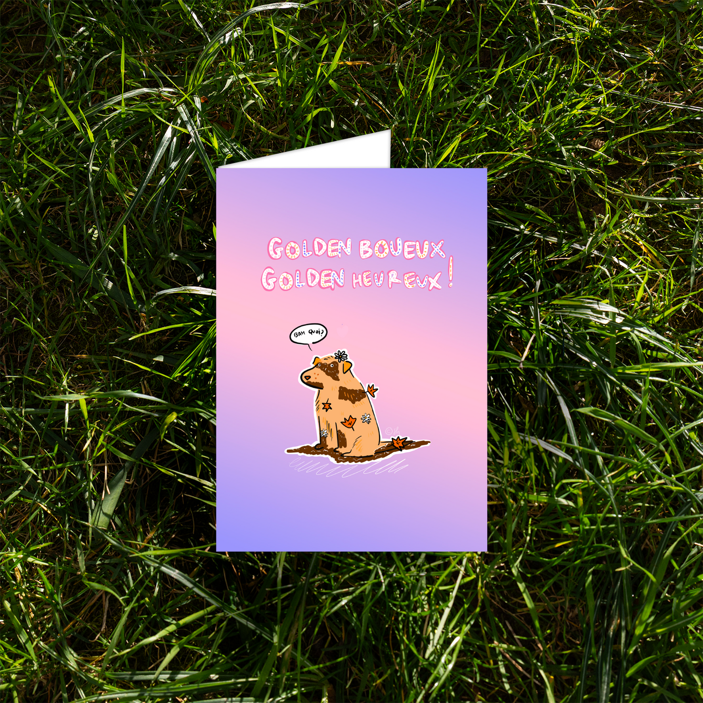 Golden boueux, golden heureux!