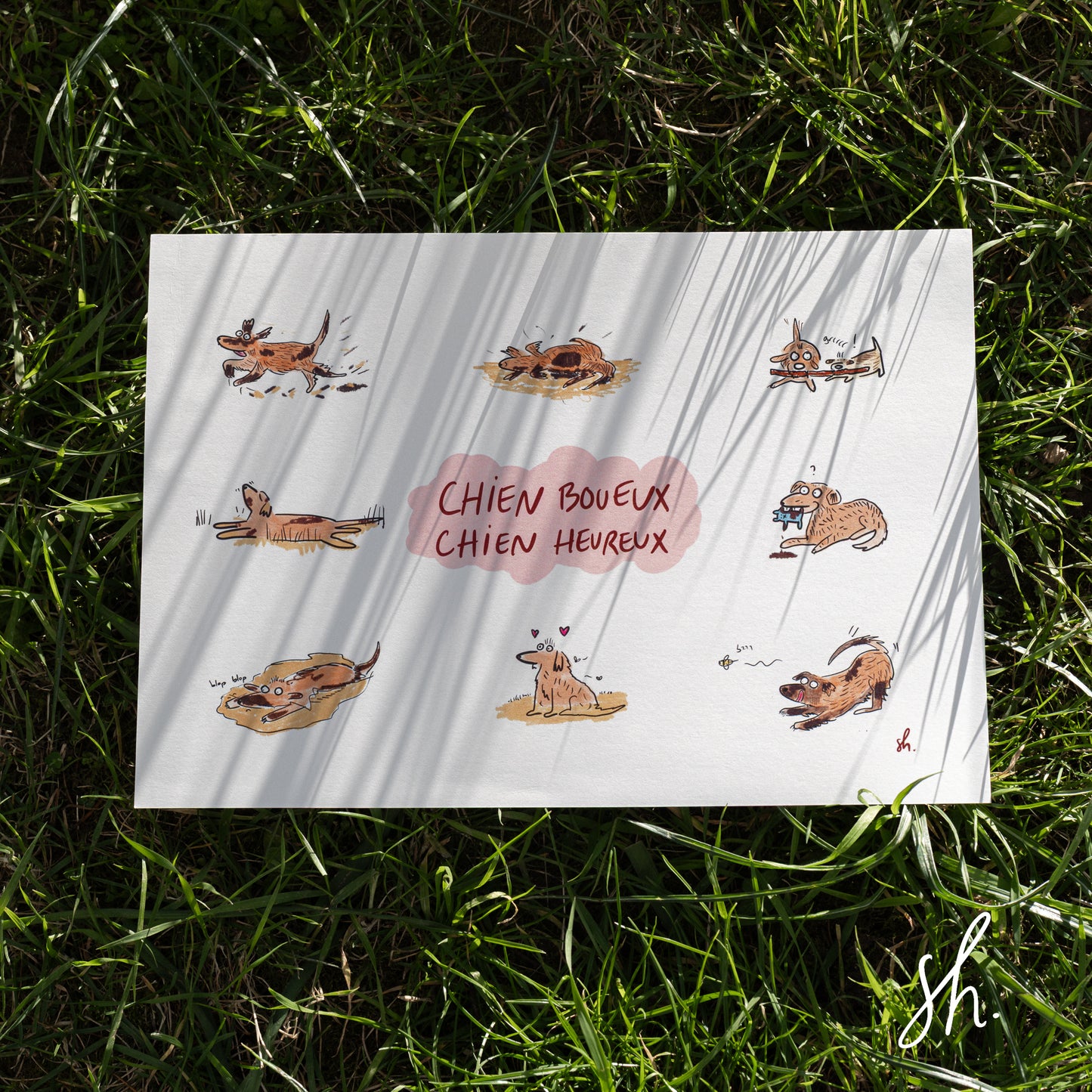 carte postale posée dans l'herbe sous un joli soleil qui reflète l'ombre de l'herbe dessus, sur la carte 8 illustrations représentant un chien qui court, qui se roule, qui s'applatie, qui se baigne, qui mordille un jouet, qui court après une abeille, qui est heureux: dans la boue. un titre écrit à la main sur une forme de nuage: chien boueux chien heureux 
