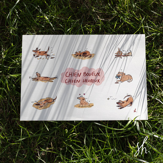 carte postale posée dans l'herbe sous un joli soleil qui reflète l'ombre de l'herbe dessus, sur la carte 8 illustrations représentant un chien qui court, qui se roule, qui s'applatie, qui se baigne, qui mordille un jouet, qui court après une abeille, qui est heureux: dans la boue. un titre écrit à la main sur une forme de nuage: chien boueux chien heureux 