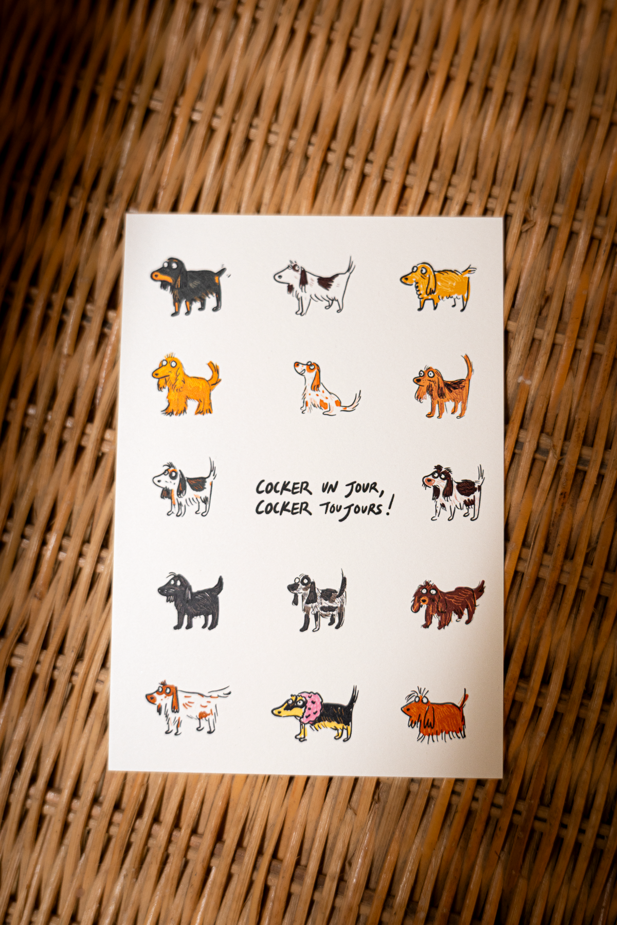 Carte postale "cocker un jour, cocker touours!"