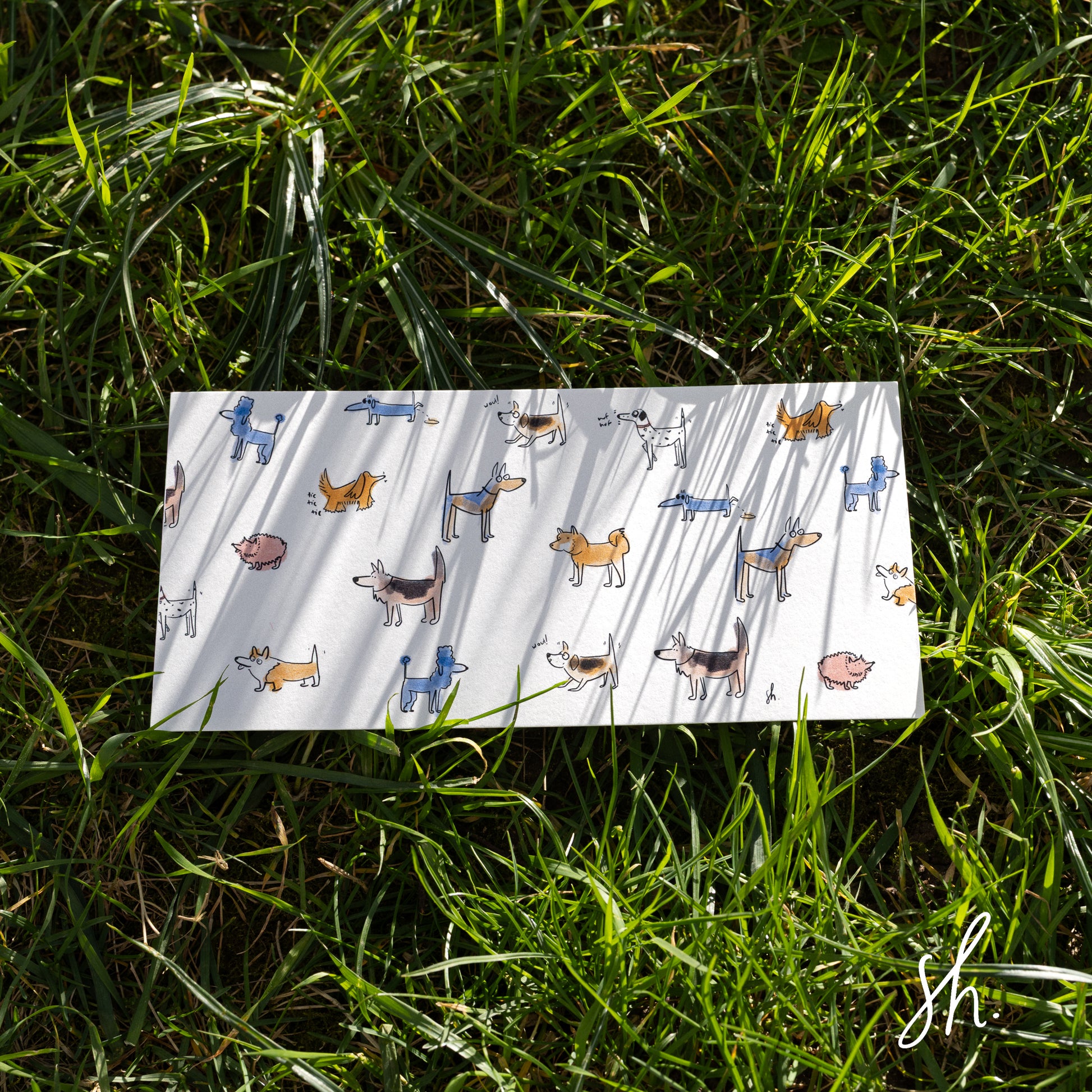 carte postale posée dans l'herbe format rectangulaire avec plusieurs chiens dessinés en couleurs bleu rose orange et noire avec l'ombre de l'herbe qui se reflète dessus 