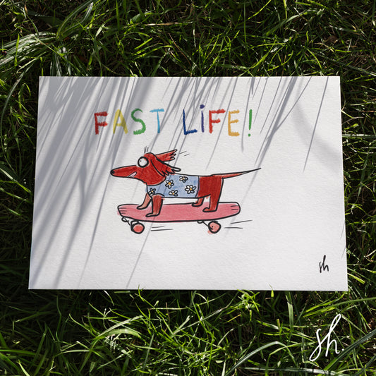 carte postale posée dans l'herbe sous un joli soleil qui reflète l'ombre de l'herbe dessus, un teckel est dessiné dessus qui fait du skate en pull avec des paquerettes dessus et écrit en multi couleurs " fast life"