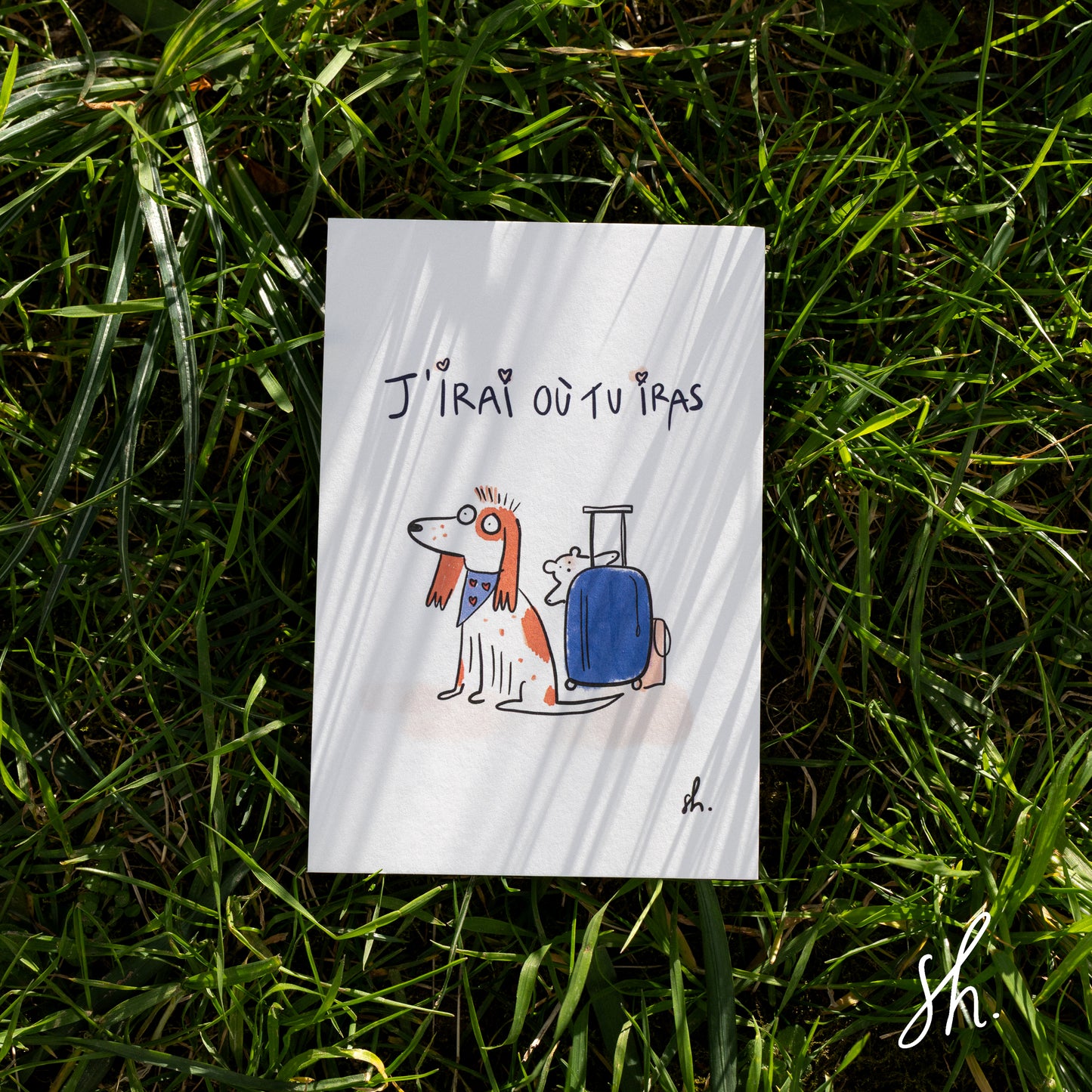 carte postale photographié dans l'herbe avec l'ombre porté du soleil dessus , sur le dessin est écrit " j'irai où tu iras" avec un cocker qui attend près d'une valise avec un nounours dessus et il porte un bandana