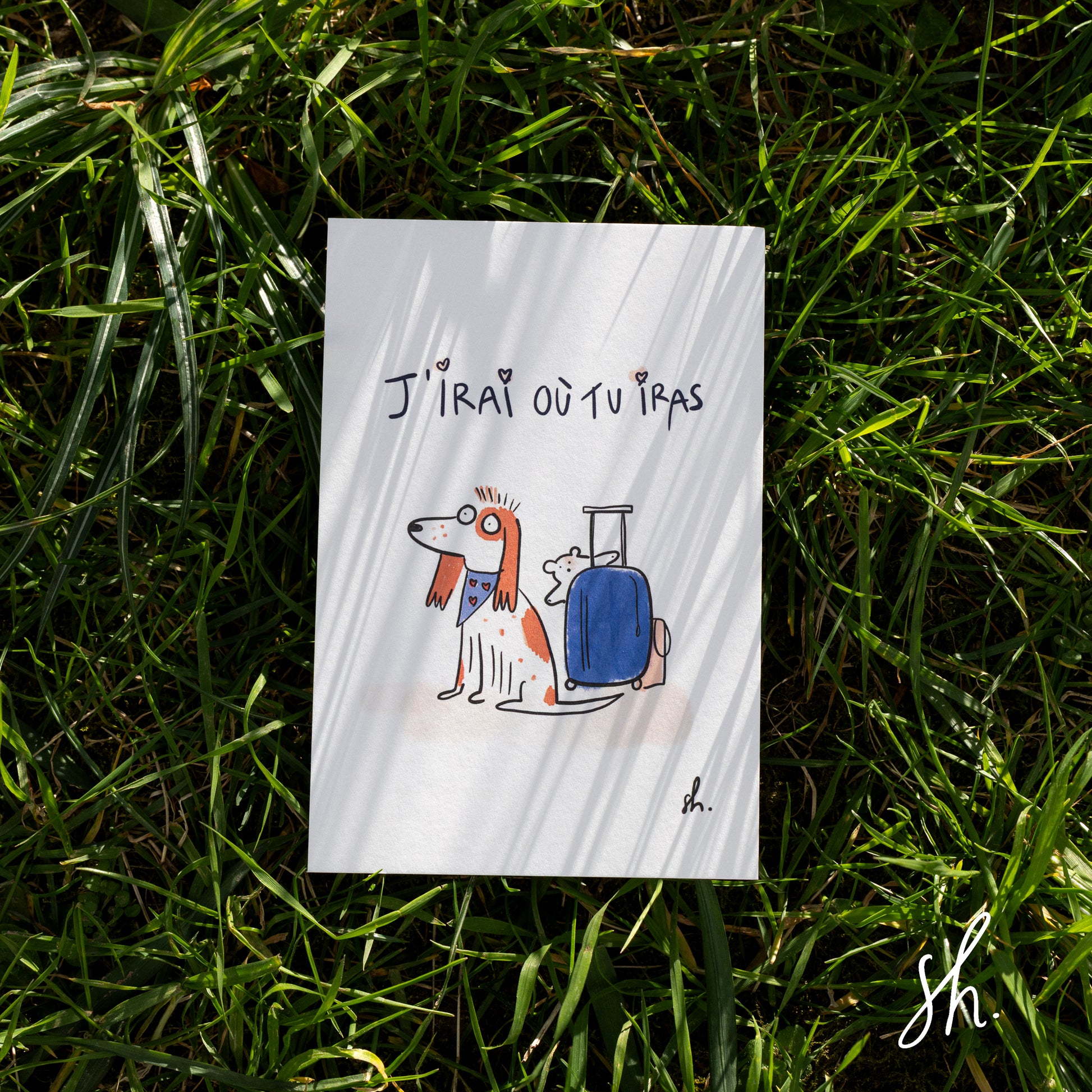 carte postale photographié dans l'herbe avec l'ombre porté du soleil dessus , sur le dessin est écrit " j'irai où tu iras" avec un cocker qui attend près d'une valise avec un nounours dessus et il porte un bandana