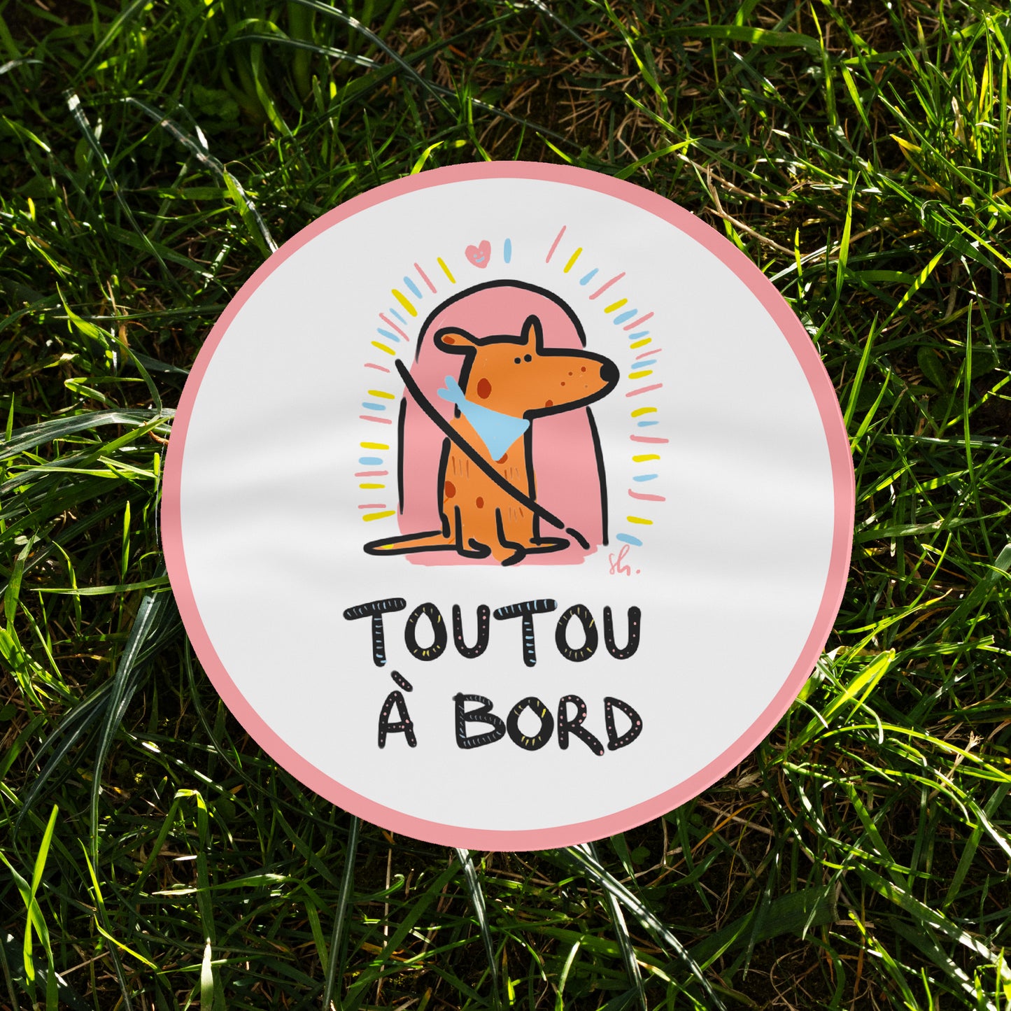 Toutou à bord!