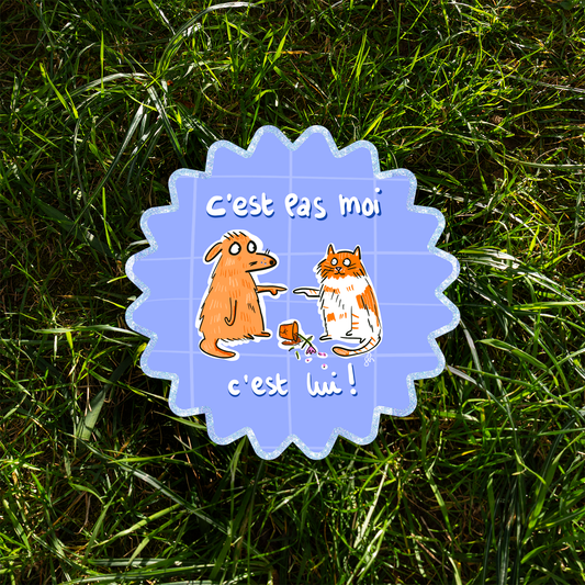 C'est pas moi, c'est lui !