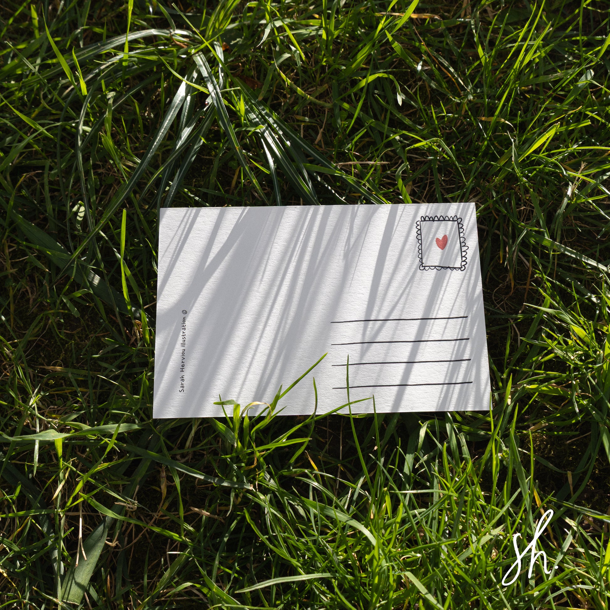 verso de la carte dans l'herbe avec des lignes pour écrire l'adresse et un dessin où mettre le timbre 